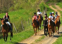 Là où la vie se fait au rythme du pas des chevaux ...